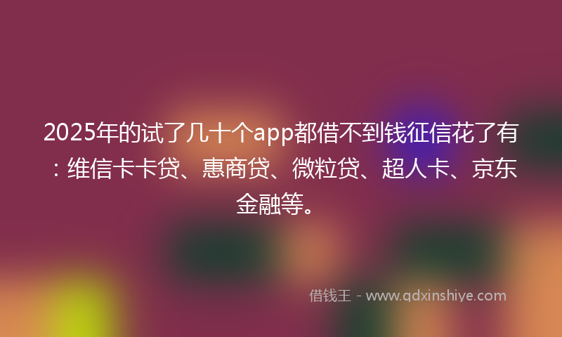 2025年的试了几十个app都借不到钱征信花了有：维信卡卡贷、惠商贷、微粒贷、超人卡、京东金融等。