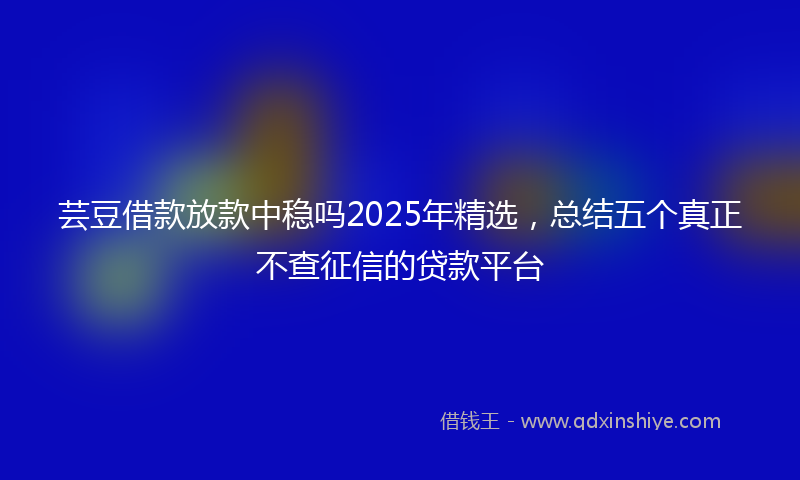 芸豆借款放款中稳吗2025年精选，总结五个真正不查征信的贷款平台
