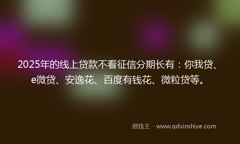 2025年的线上贷款不看征信分期长有：你我贷、e微贷、安逸花、百度有钱花、微粒贷等。