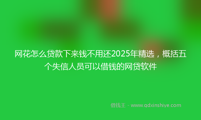 网花怎么贷款下来钱不用还2025年精选，概括五个失信人员可以借钱的网贷软件