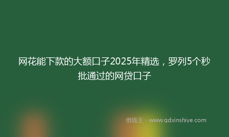 网花能下款的大额口子2025年精选，罗列5个秒批通过的网贷口子