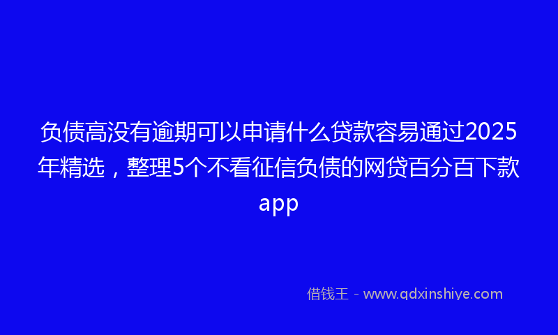 负债高没有逾期可以申请什么贷款容易通过2025年精选，整理5个不看征信负债的网贷百分百下款app