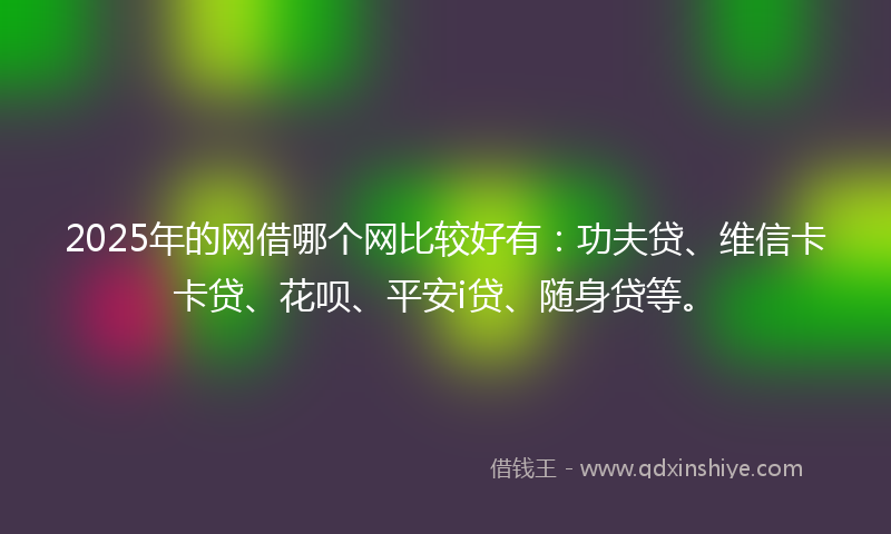 2025年的网借哪个网比较好有：功夫贷、维信卡卡贷、花呗、平安i贷、随身贷等。