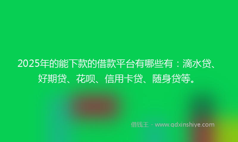 2025年的能下款的借款平台有哪些有：滴水贷、好期贷、花呗、信用卡贷、随身贷等。