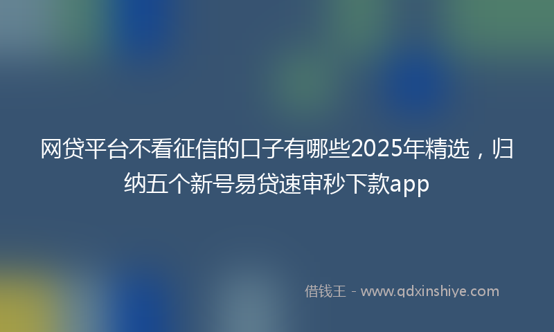 网贷平台不看征信的口子有哪些2025年精选，归纳五个新号易贷速审秒下款app