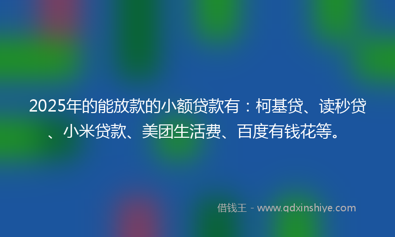 2025年的能放款的小额贷款有：柯基贷、读秒贷、小米贷款、美团生活费、百度有钱花等。