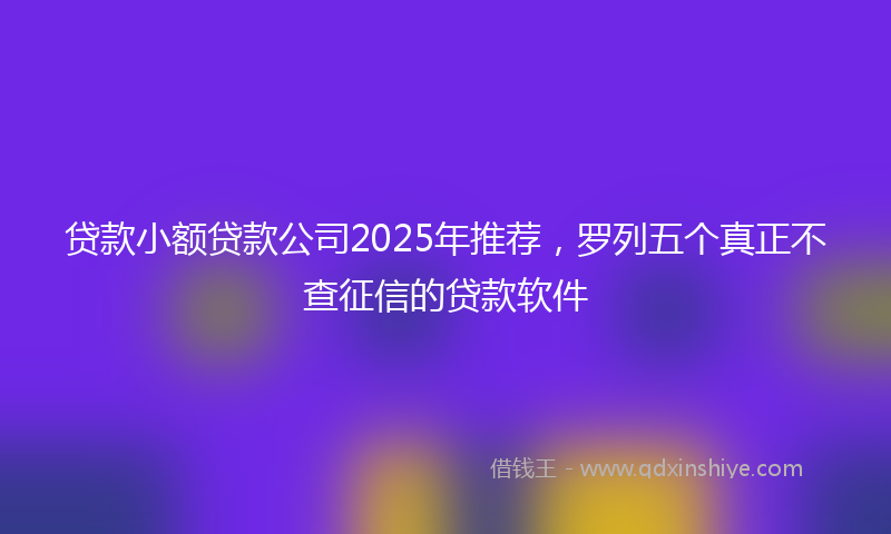 贷款小额贷款公司2025年推荐，罗列五个真正不查征信的贷款软件