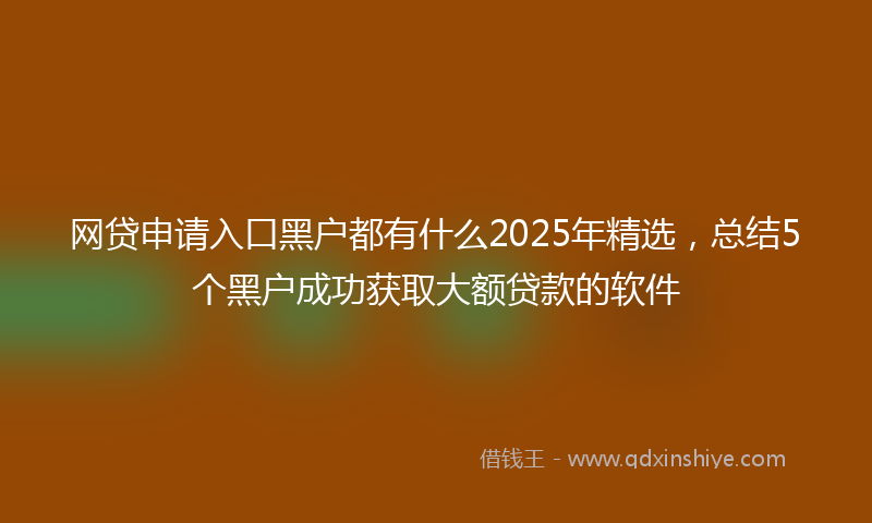 网贷申请入口黑户都有什么2025年精选，总结5个黑户成功获取大额贷款的软件