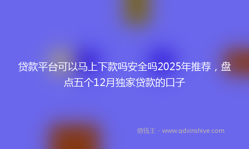 贷款平台可以马上下款吗安全吗2025年推荐，盘点五个12月独家贷款的口子