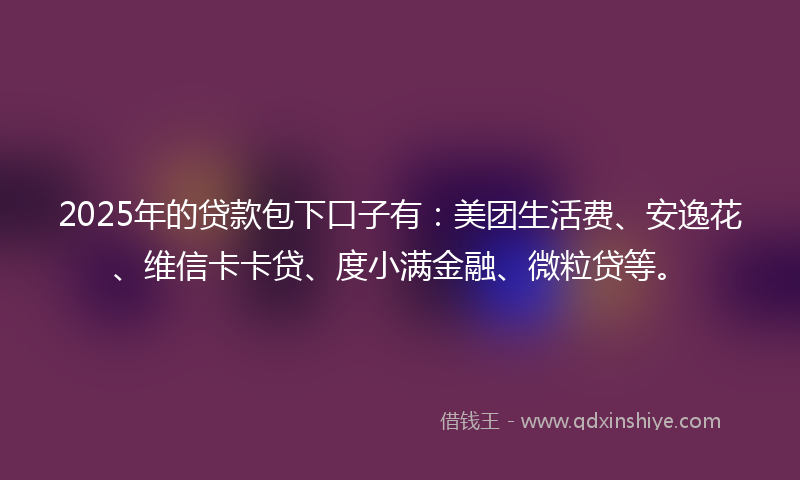 2025年的贷款包下口子有：美团生活费、安逸花、维信卡卡贷、度小满金融、微粒贷等。