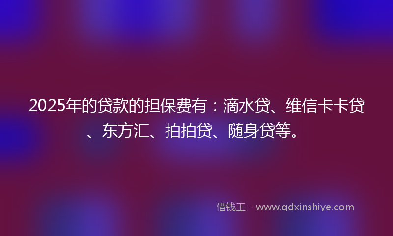 2025年的贷款的担保费有：滴水贷、维信卡卡贷、东方汇、拍拍贷、随身贷等。