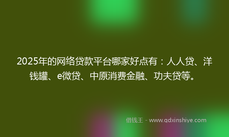 2025年的网络贷款平台哪家好点有：人人贷、洋钱罐、e微贷、中原消费金融、功夫贷等。