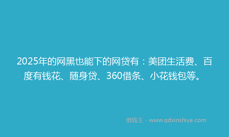 2025年的网黑也能下的网贷有：美团生活费、百度有钱花、随身贷、360借条、小花钱包等。