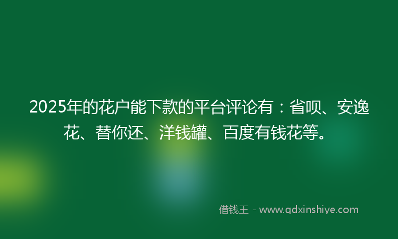 2025年的花户能下款的平台评论有：省呗、安逸花、替你还、洋钱罐、百度有钱花等。