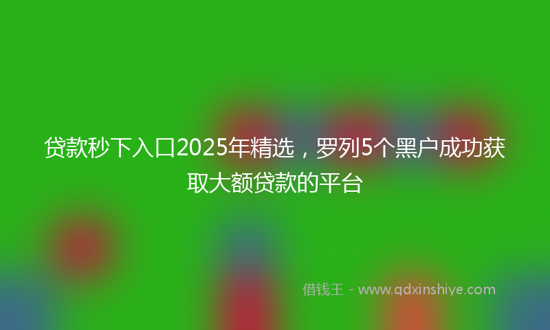 贷款秒下入口2025年精选，罗列5个黑户成功获取大额贷款的平台