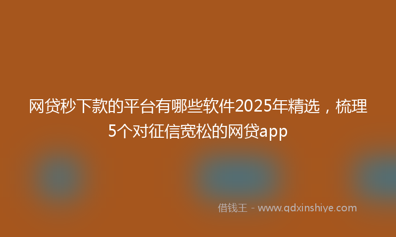 网贷秒下款的平台有哪些软件2025年精选，梳理5个对征信宽松的网贷app