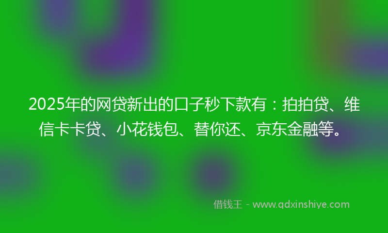 2025年的网贷新出的口子秒下款有：拍拍贷、维信卡卡贷、小花钱包、替你还、京东金融等。