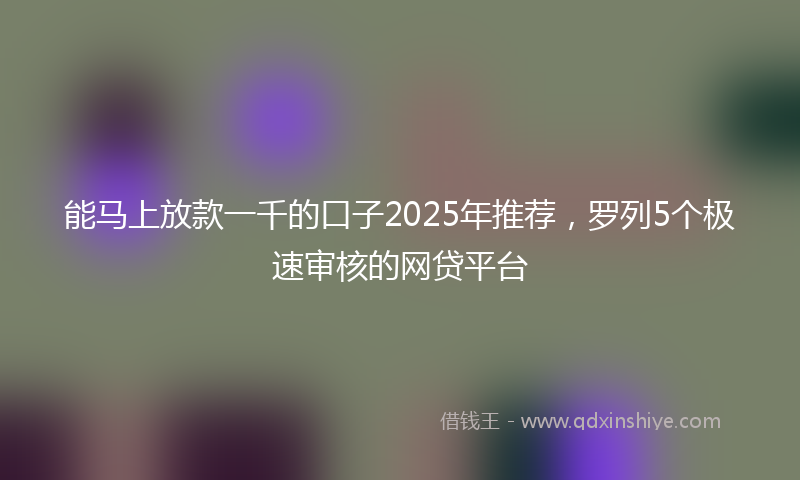 能马上放款一千的口子2025年推荐，罗列5个极速审核的网贷平台