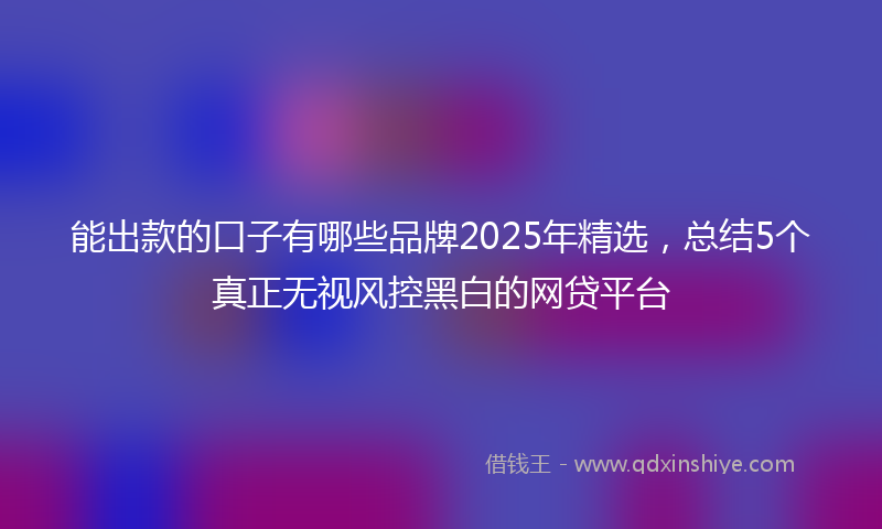 能出款的口子有哪些品牌2025年精选，总结5个真正无视风控黑白的网贷平台