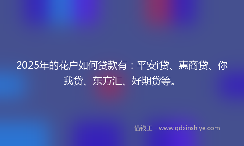 2025年的花户如何贷款有:平安i贷、惠商贷、你我贷、东方汇、好期贷等。