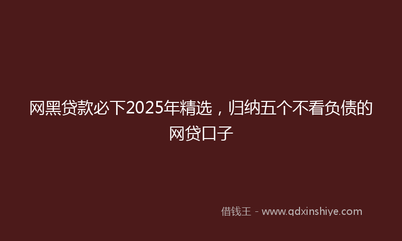 网黑贷款必下2025年精选，归纳五个不看负债的网贷口子