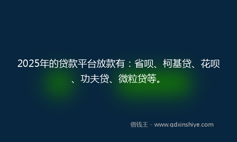 2025年的贷款平台放款有：省呗、柯基贷、花呗、功夫贷、微粒贷等。