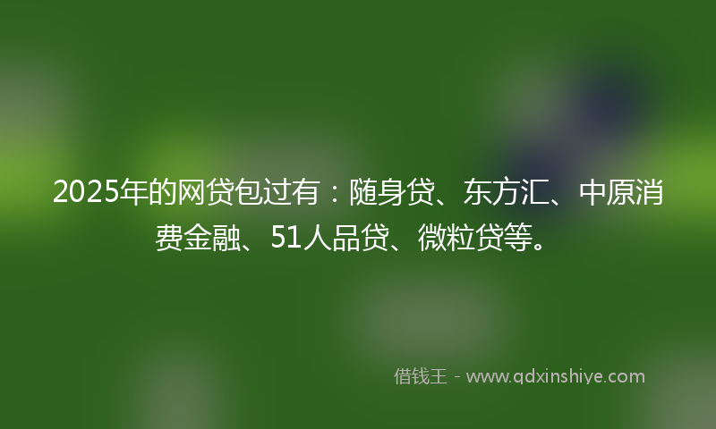 2025年的网贷包过有：随身贷、东方汇、中原消费金融、51人品贷、微粒贷等。