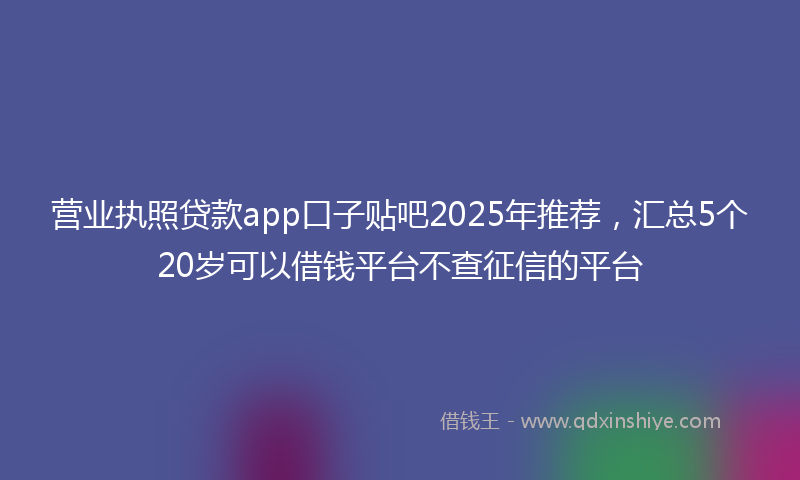 营业执照贷款app口子贴吧2025年推荐，汇总5个20岁可以借钱平台不查征信的平台