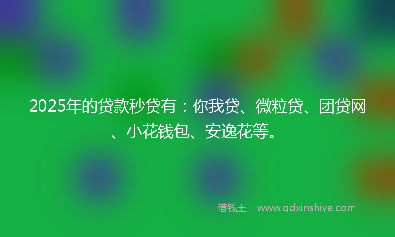 2025年的贷款秒贷有：你我贷、微粒贷、团贷网、小花钱包、安逸花等。