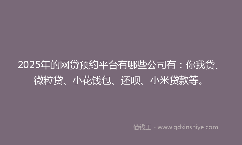 2025年的网贷预约平台有哪些公司有：你我贷、微粒贷、小花钱包、还呗、小米贷款等。