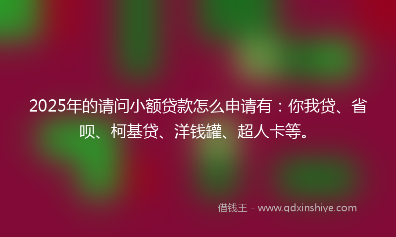 2025年的请问小额贷款怎么申请有：你我贷、省呗、柯基贷、洋钱罐、超人卡等。