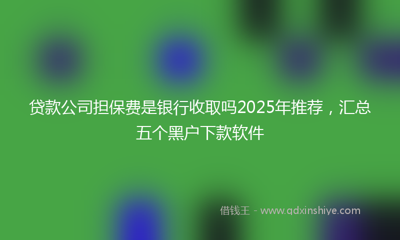 贷款公司担保费是银行收取吗2025年推荐，汇总五个黑户下款软件