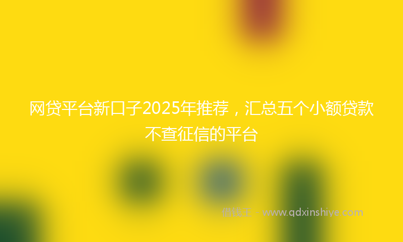 网贷平台新口子2025年推荐，汇总五个小额贷款不查征信的平台