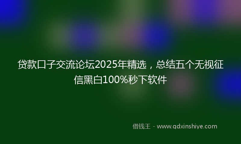 贷款口子交流论坛2025年精选，总结五个无视征信黑白100%秒下软件