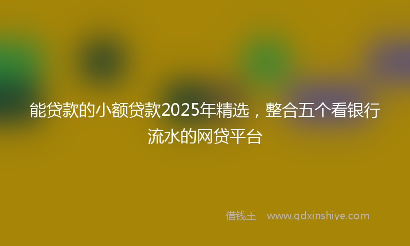 能贷款的小额贷款2025年精选，整合五个看银行流水的网贷平台