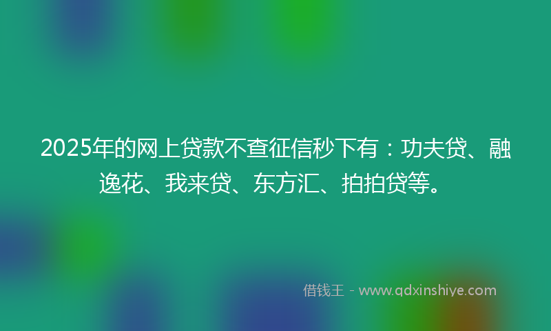 2025年的网上贷款不查征信秒下有：功夫贷、融逸花、我来贷、东方汇、拍拍贷等。