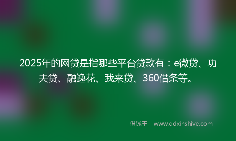2025年的网贷是指哪些平台贷款有：e微贷、功夫贷、融逸花、我来贷、360借条等。