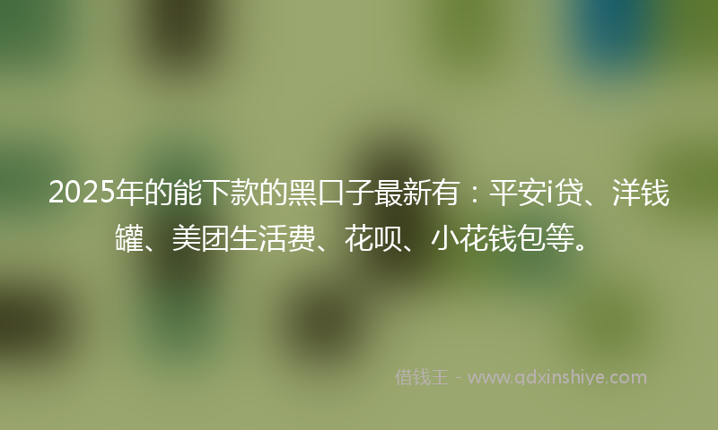 2025年的能下款的黑口子最新有：平安i贷、洋钱罐、美团生活费、花呗、小花钱包等。