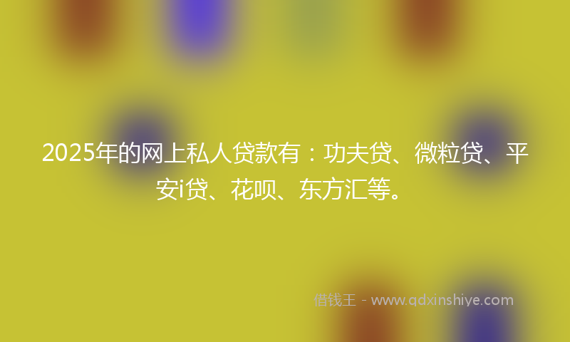2025年的网上私人贷款有：功夫贷、微粒贷、平安i贷、花呗、东方汇等。