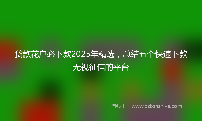 贷款花户必下款2025年精选，总结五个快速下款无视征信的平台
