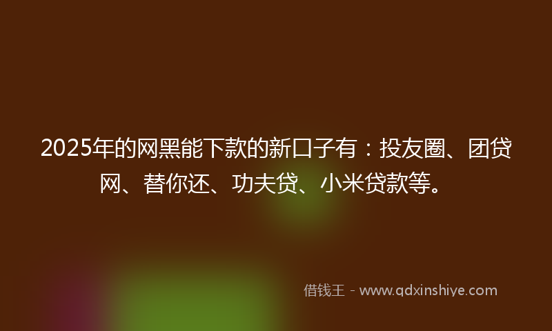 2025年的网黑能下款的新口子有：投友圈、团贷网、替你还、功夫贷、小米贷款等。