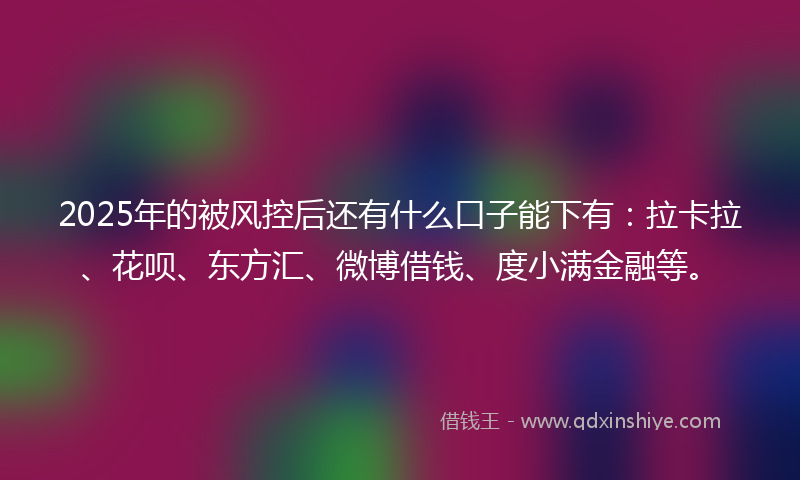 2025年的被风控后还有什么口子能下有：拉卡拉、花呗、东方汇、微博借钱、度小满金融等。