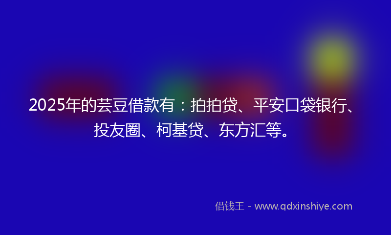 2025年的芸豆借款有：拍拍贷、平安口袋银行、投友圈、柯基贷、东方汇等。
