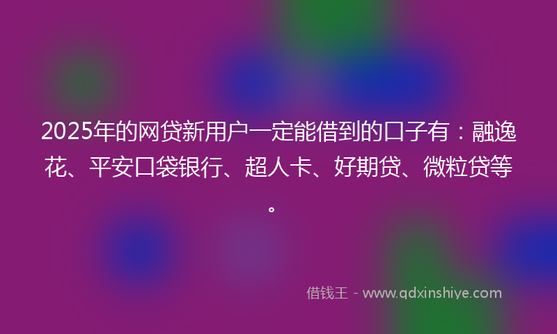 2025年的网贷新用户一定能借到的口子有：融逸花、平安口袋银行、超人卡、好期贷、微粒贷等。