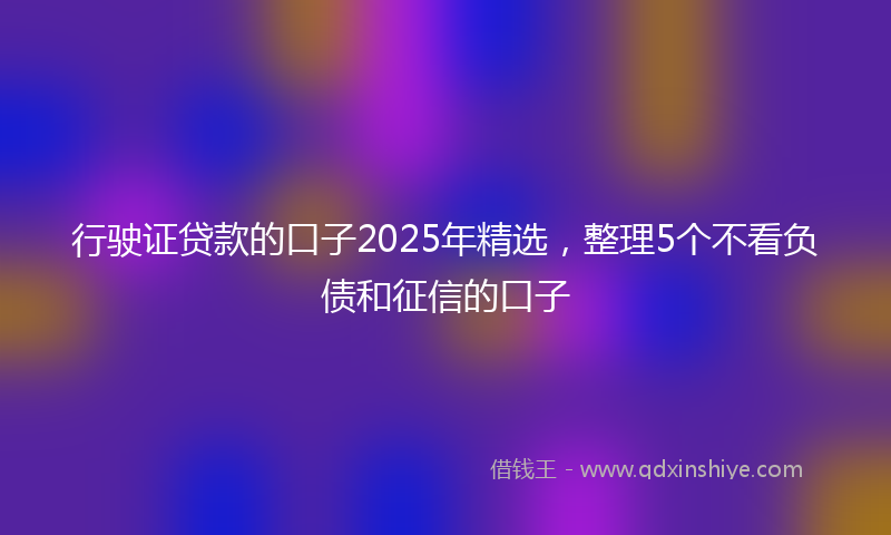 行驶证贷款的口子2025年精选，整理5个不看负债和征信的口子