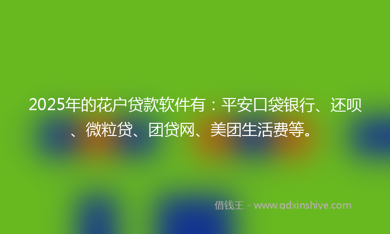 2025年的花户贷款软件有：平安口袋银行、还呗、微粒贷、团贷网、美团生活费等。