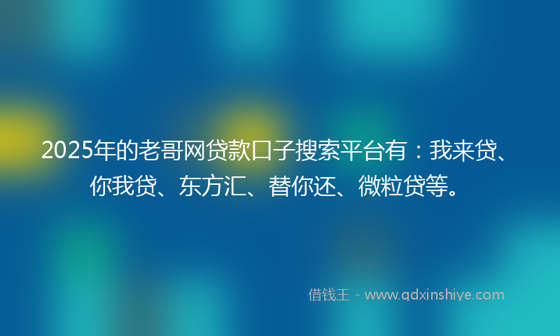 2025年的老哥网贷款口子搜索平台有：我来贷、你我贷、东方汇、替你还、微粒贷等。