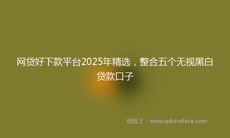 网贷好下款平台2025年精选，整合五个无视黑白贷款口子