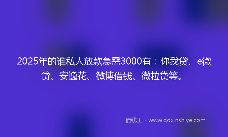 2025年的谁私人放款急需3000有：你我贷、e微贷、安逸花、微博借钱、微粒贷等。