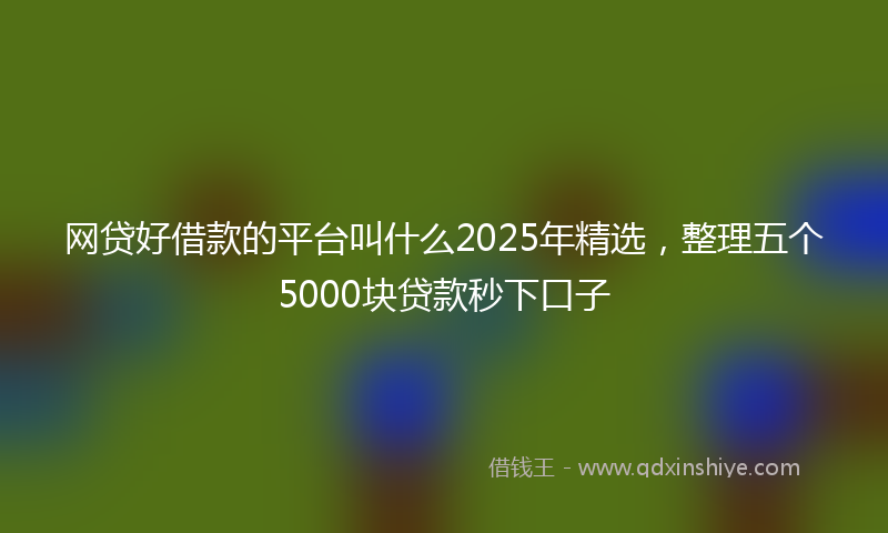 网贷好借款的平台叫什么2025年精选，整理五个5000块贷款秒下口子